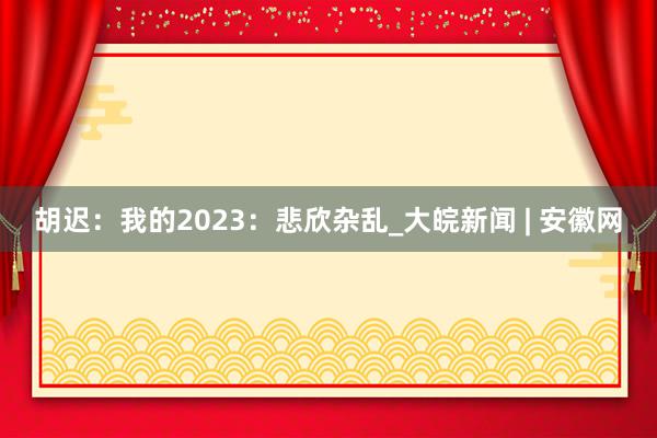 胡迟：我的2023：悲欣杂乱_大皖新闻 | 安徽网